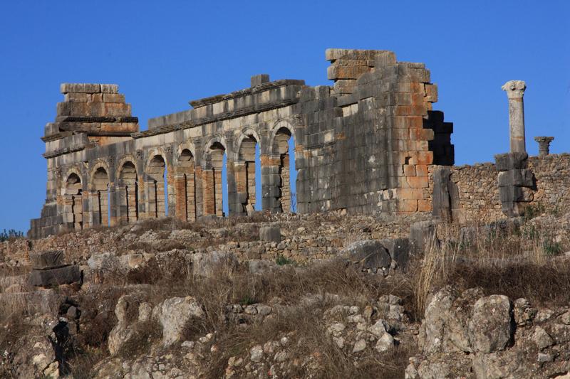 128-Volubilis,29 dicembre 2013.JPG